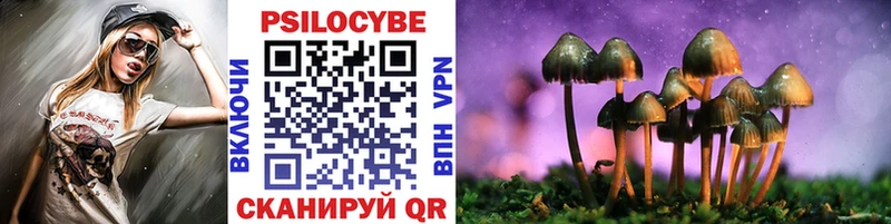 Галлюциногенные грибы Magic Shrooms  Устюжна 